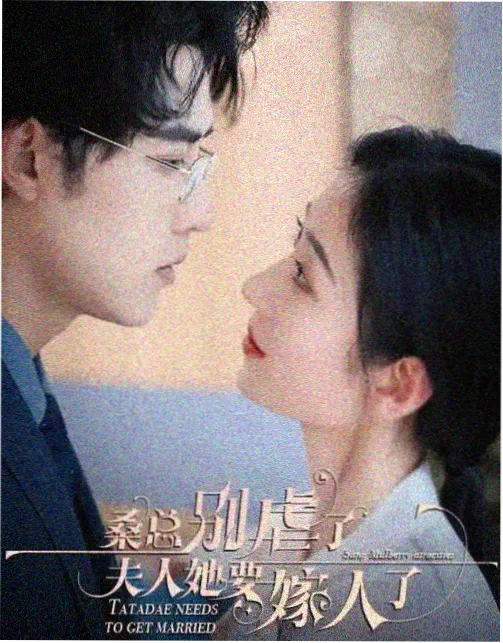 十二楼的春天 剧集海报